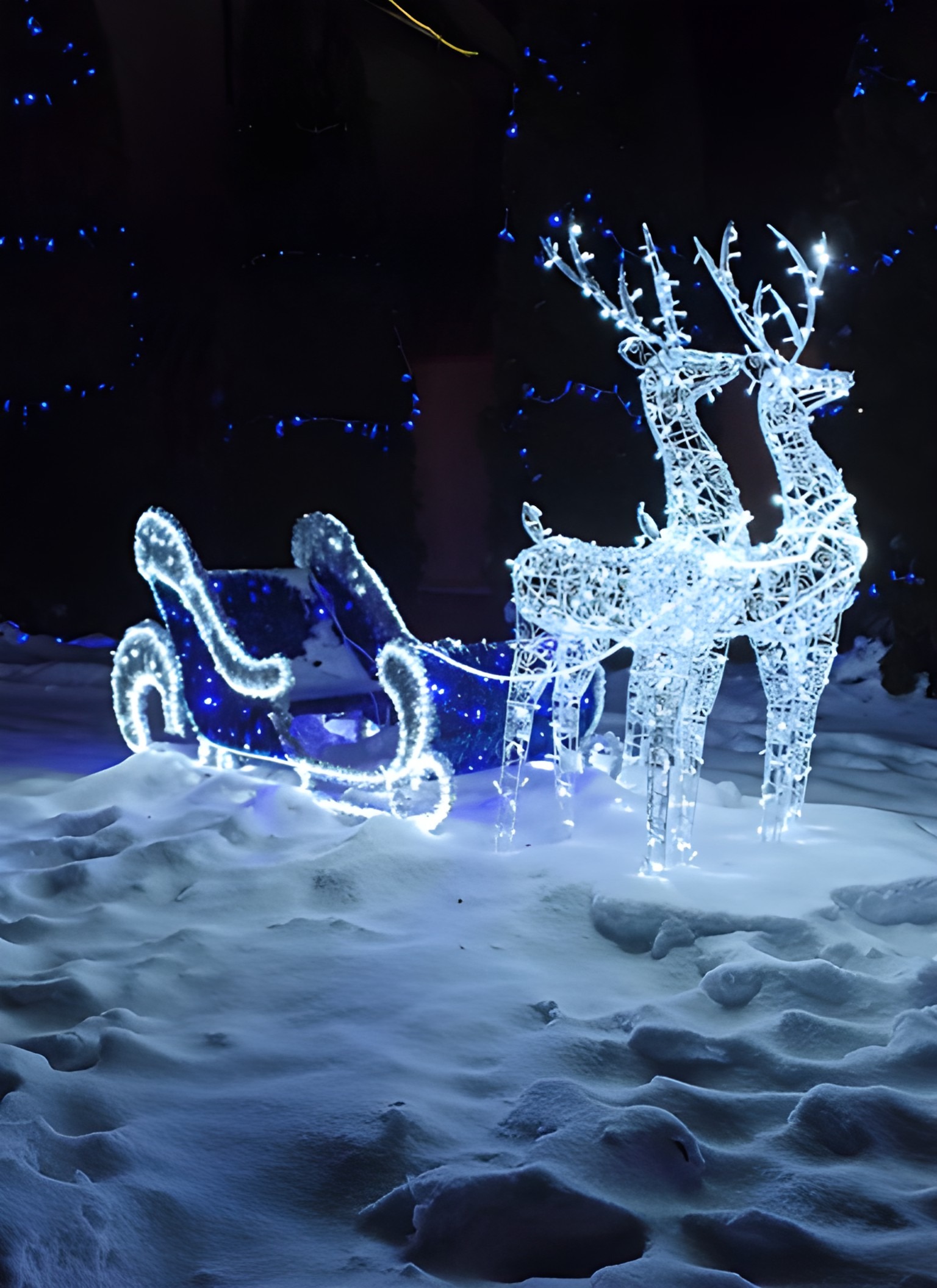 Олени с санями